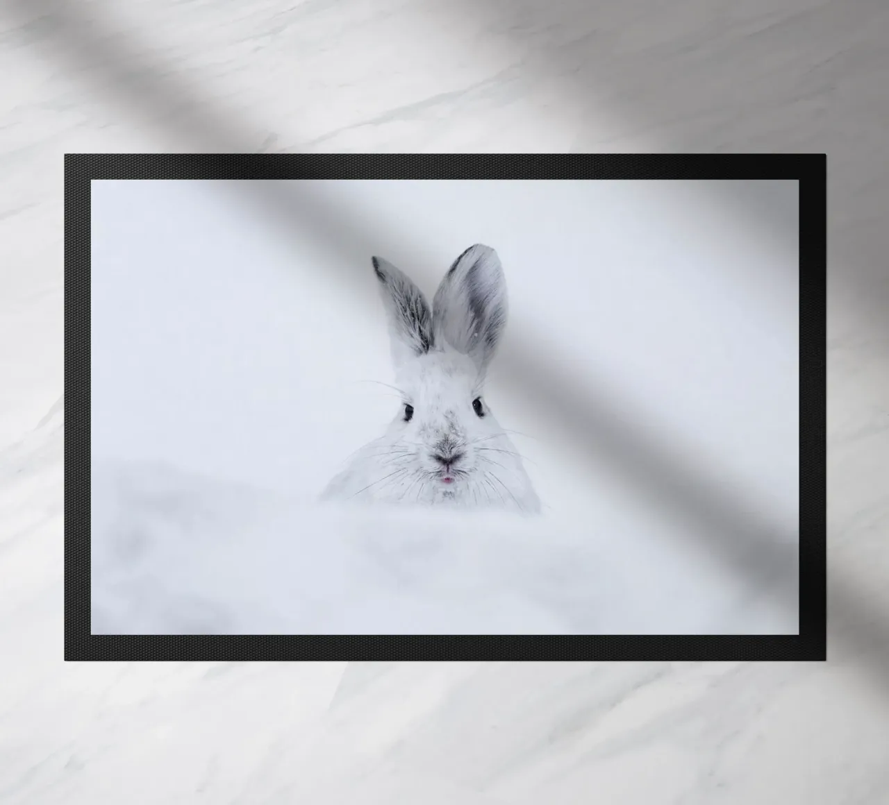 Rabbit in the Snow zerbino da EyeEm Mobile GmbH