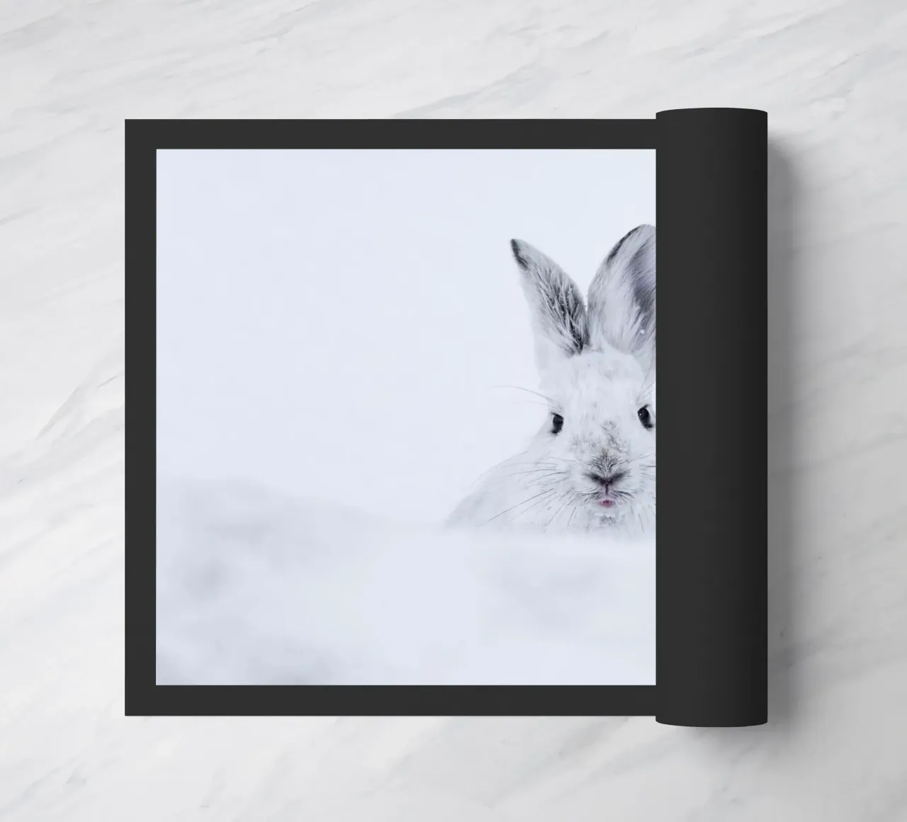 Rabbit in the Snow zerbino da EyeEm Mobile GmbH