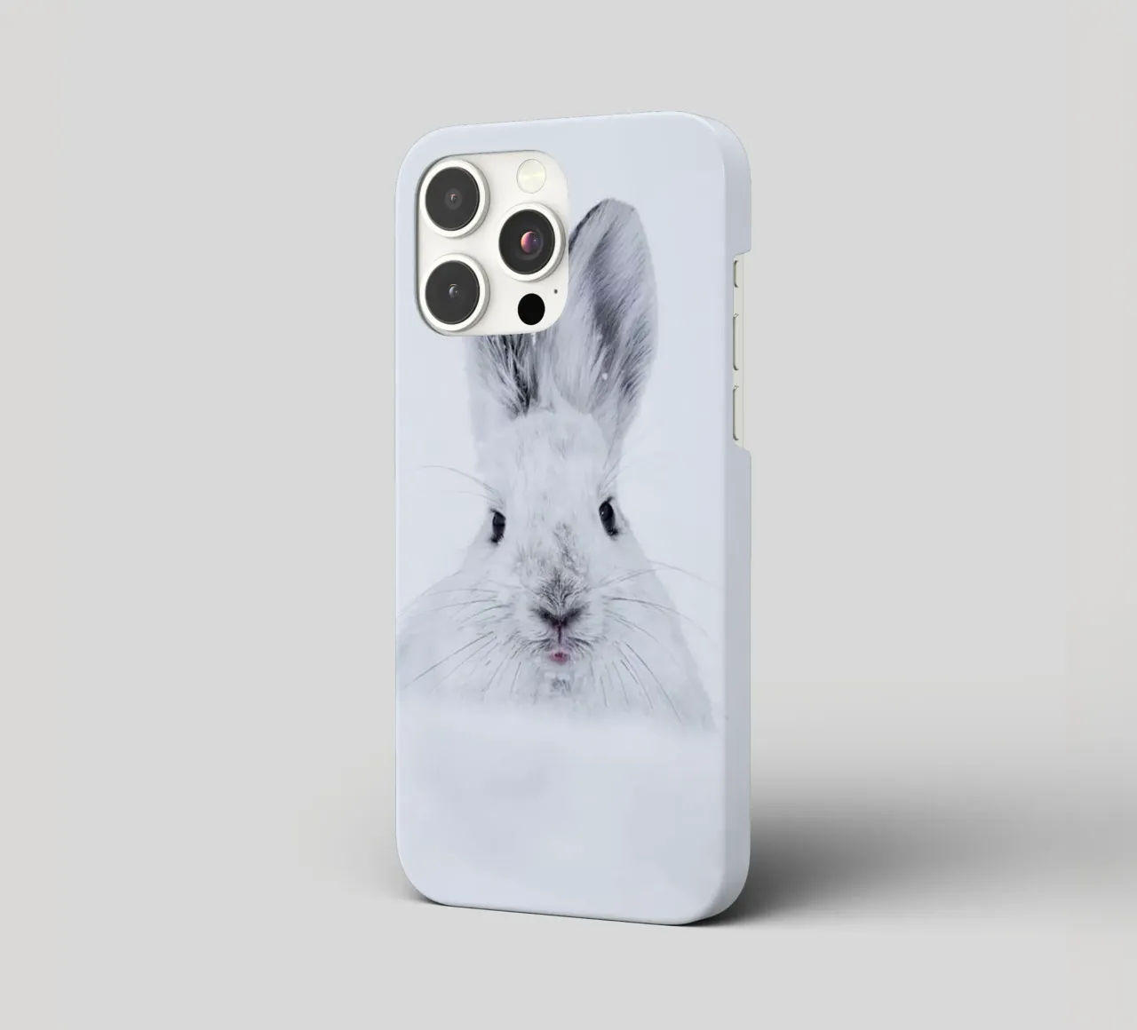 Rabbit in the Snow cover iphone da EyeEm Mobile GmbH