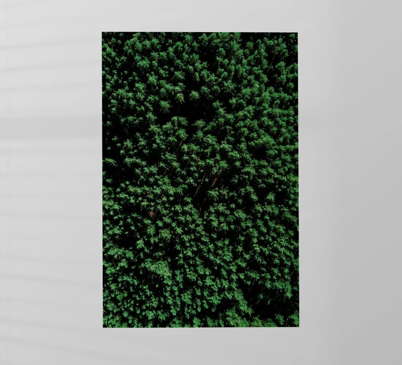 Tree Pattern backlit folie van Sebastian Hilgetag