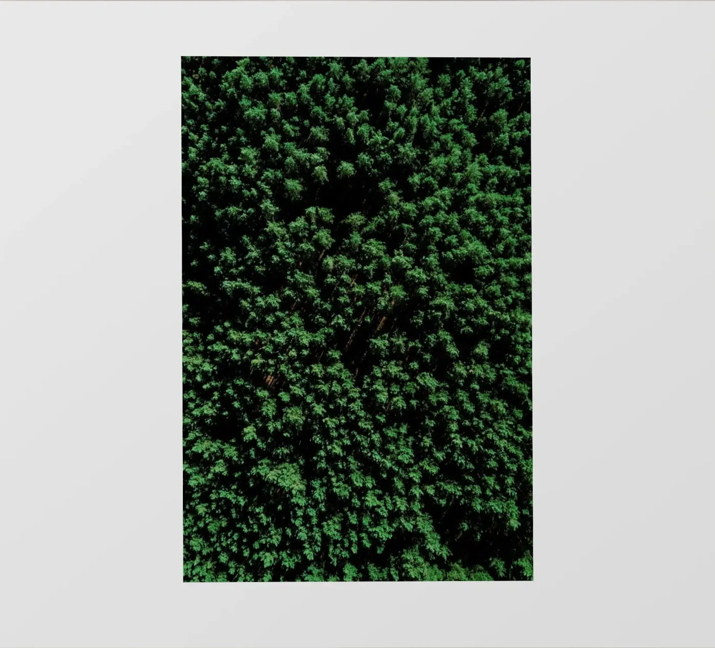 Tree Pattern pvc cover by Sebastian Hilgetag