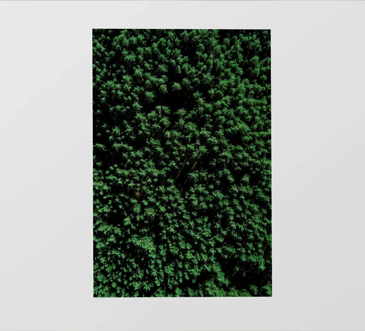 Tree Pattern pvc-zeil van Sebastian Hilgetag