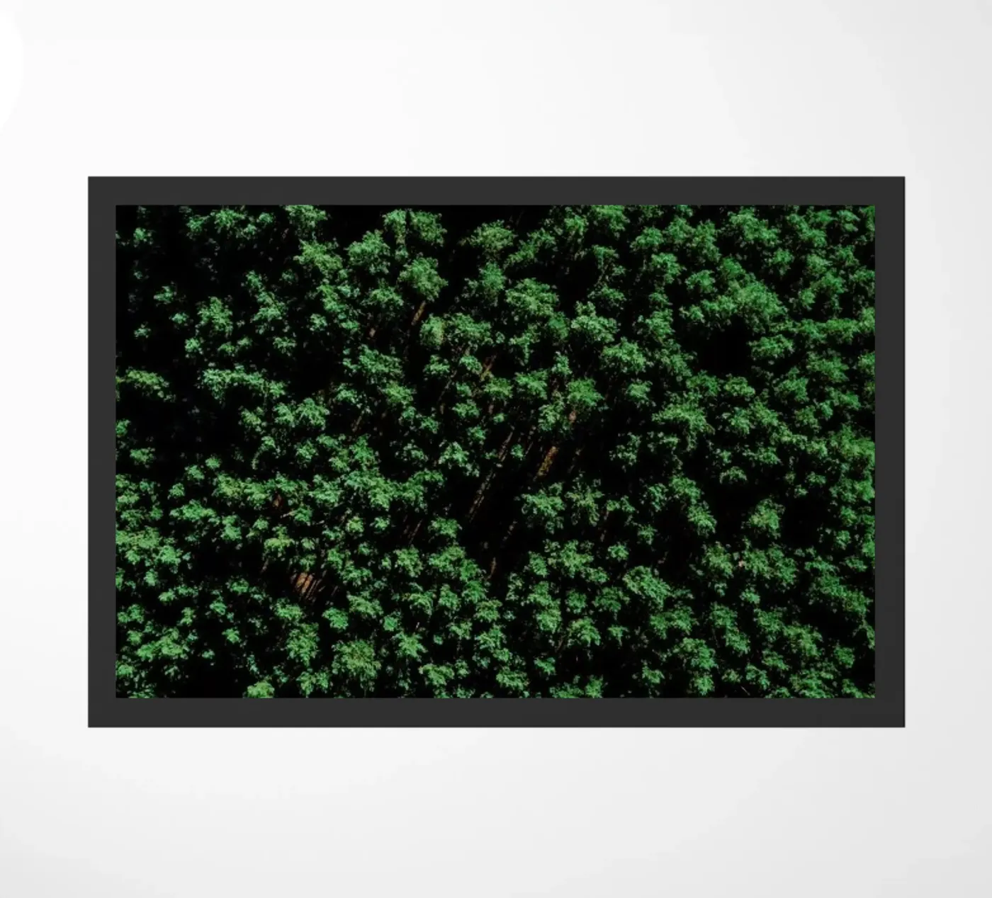 Tree Pattern paillasson de Sebastian Hilgetag