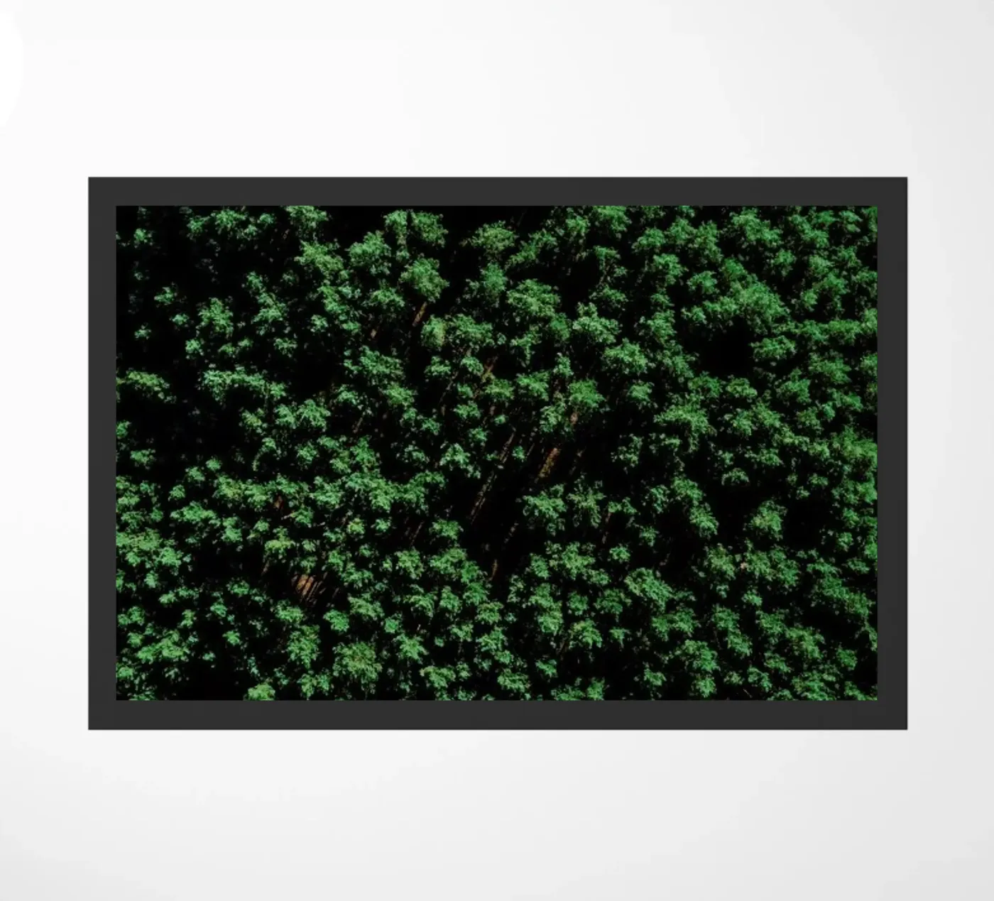 Tree Pattern zerbino da Sebastian Hilgetag