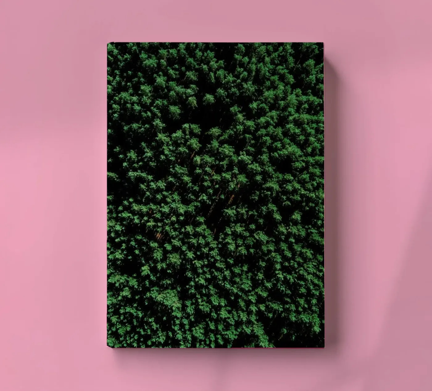 Tree Pattern diario da Sebastian Hilgetag