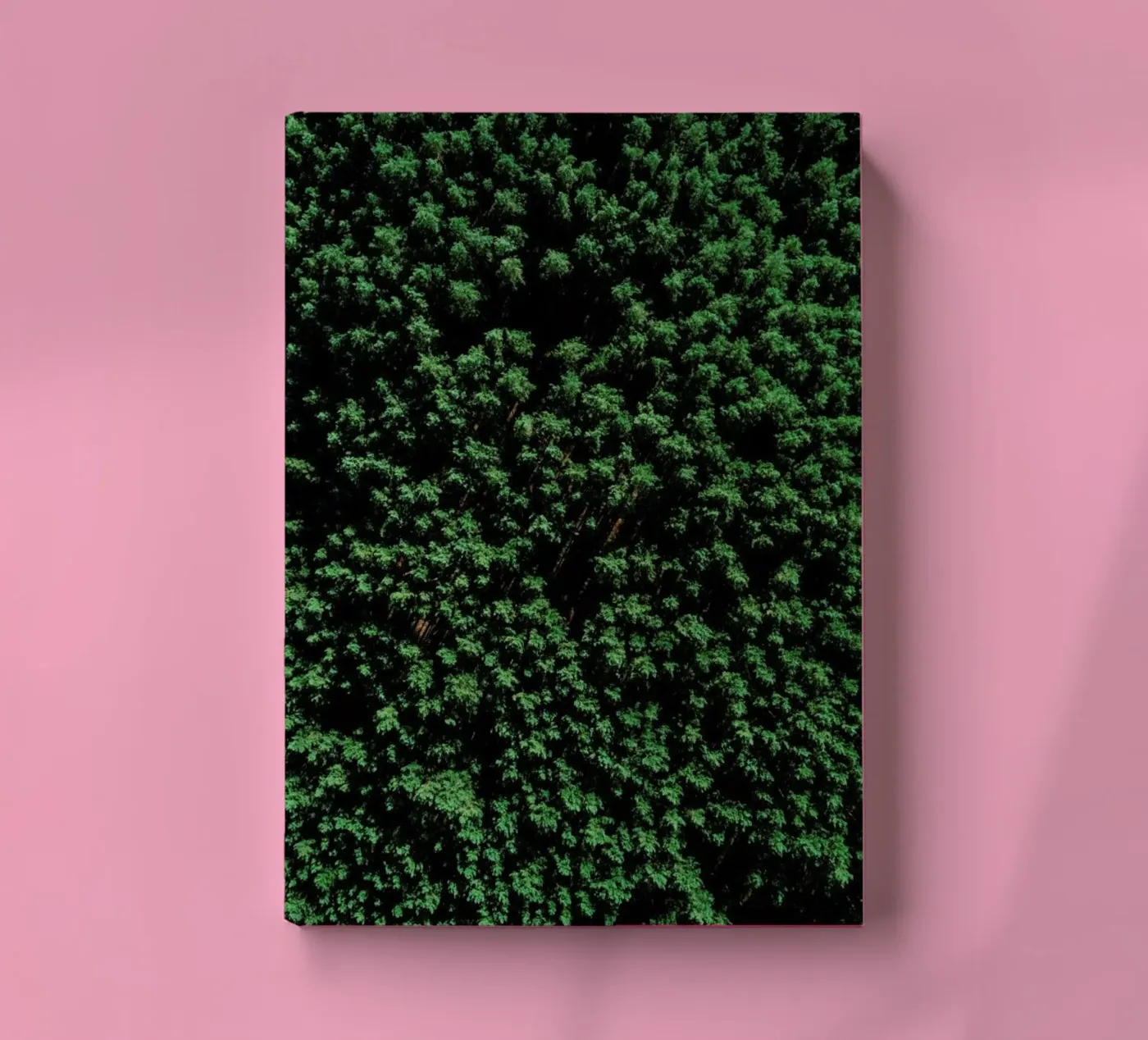 Tree Pattern carnet de Sebastian Hilgetag