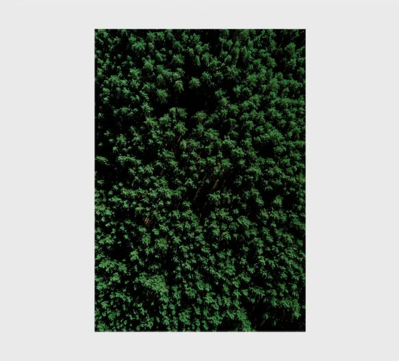 Tree Pattern Notizbuch von Sebastian Hilgetag