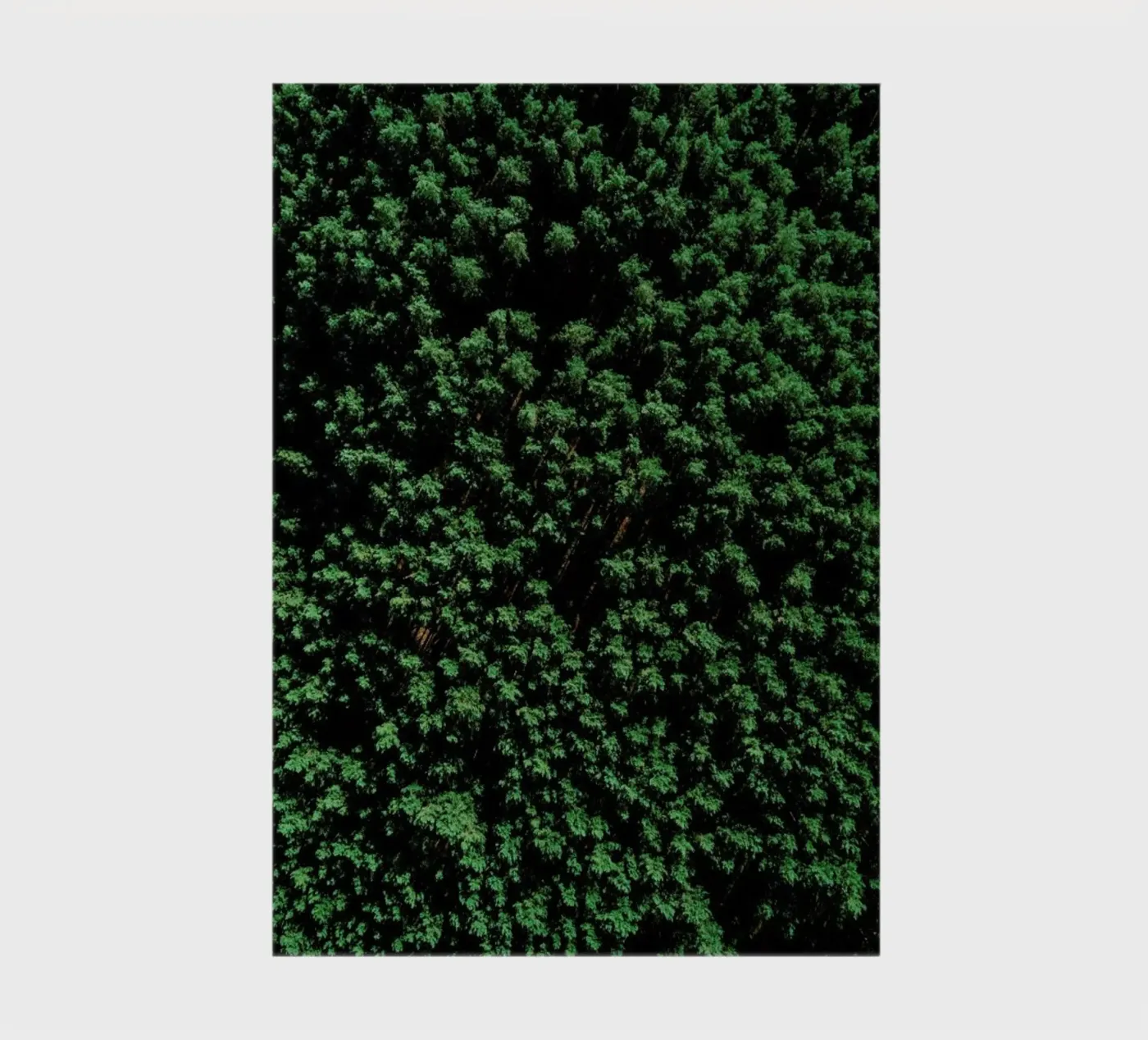Tree Pattern carnet de Sebastian Hilgetag