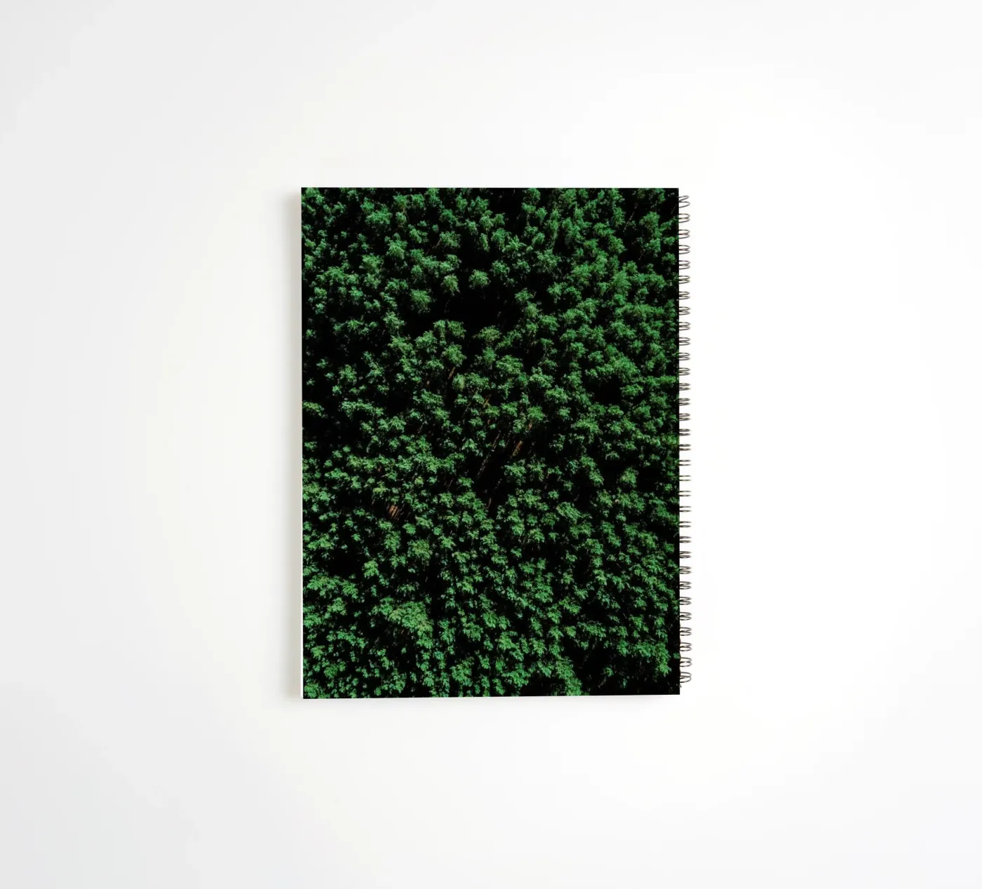Tree Pattern Ringbuch von Sebastian Hilgetag