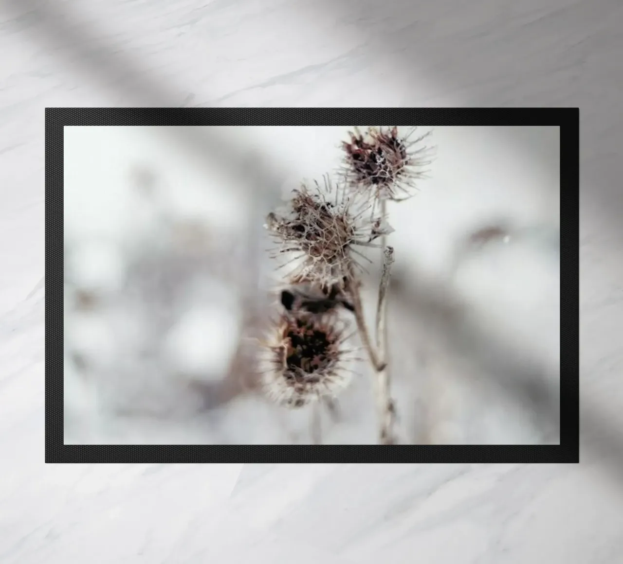 Thistle zerbino da EyeEm Mobile GmbH