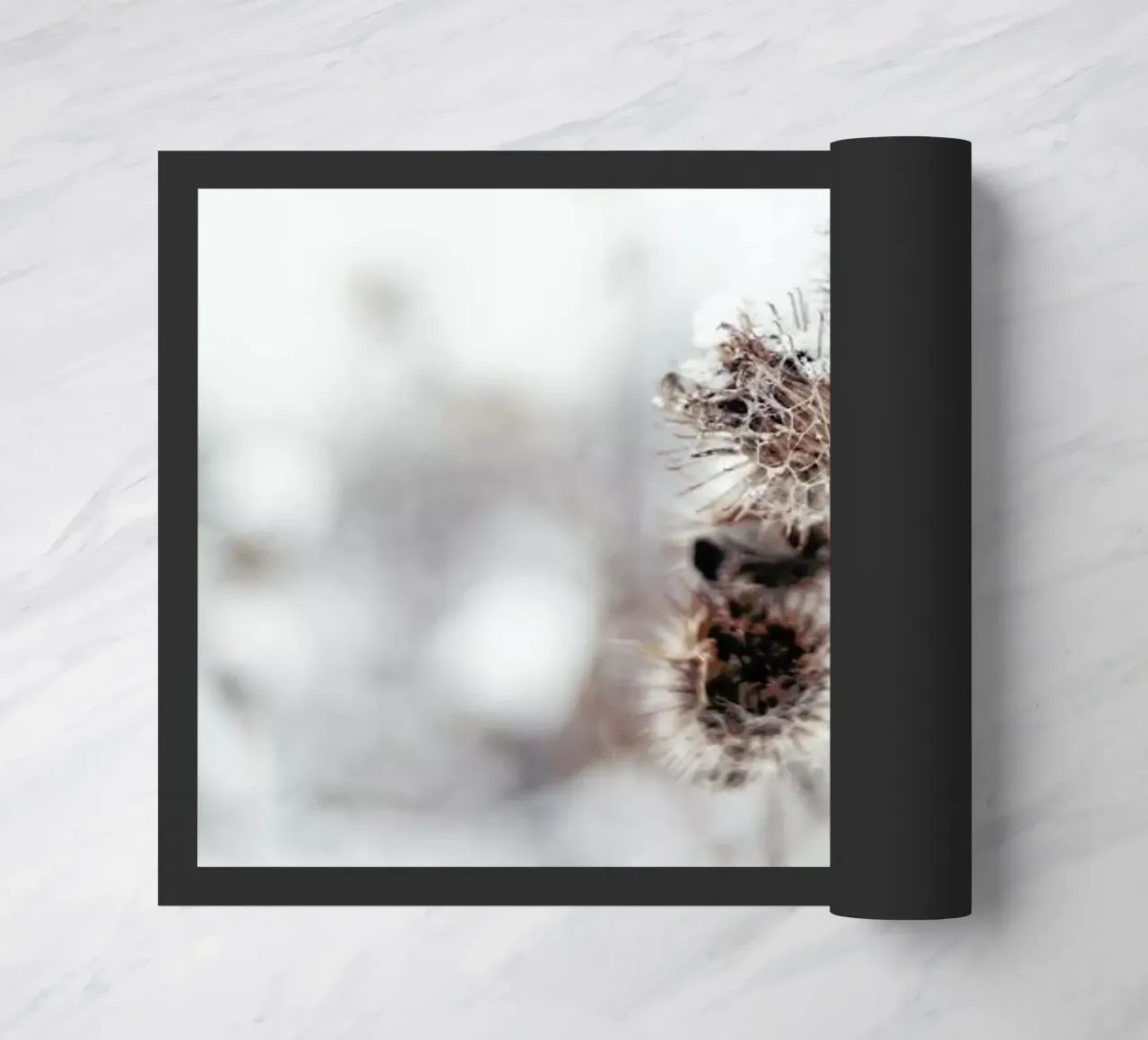 Thistle zerbino da EyeEm Mobile GmbH