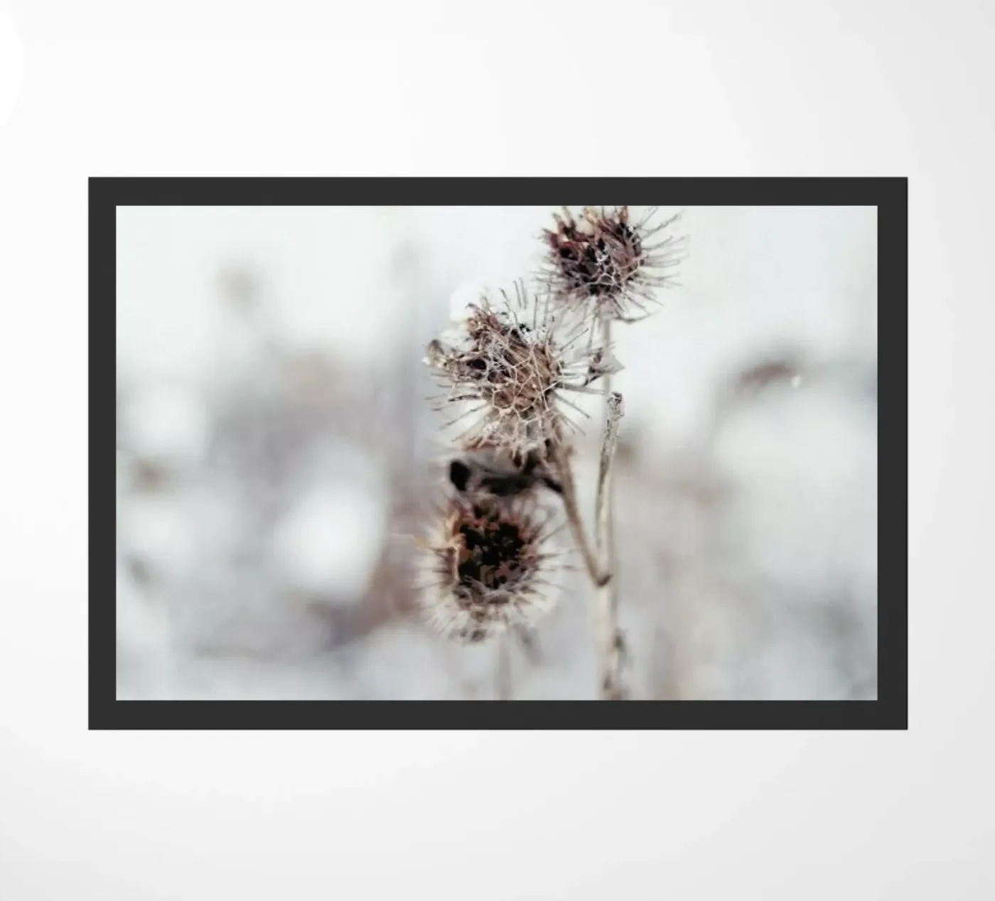 Thistle deurmat van EyeEm Mobile GmbH