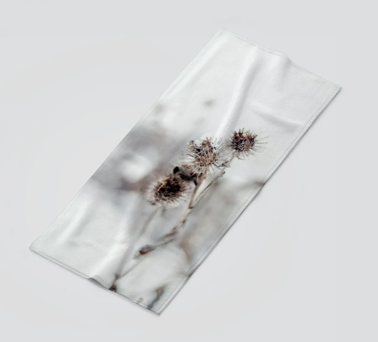 Thistle telo mare da EyeEm Mobile GmbH