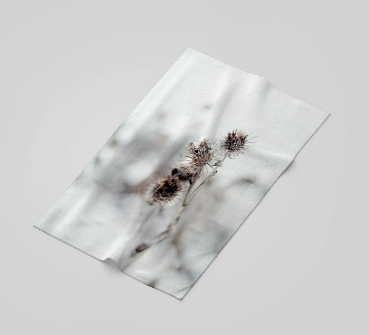 Thistle telo mare da EyeEm Mobile GmbH