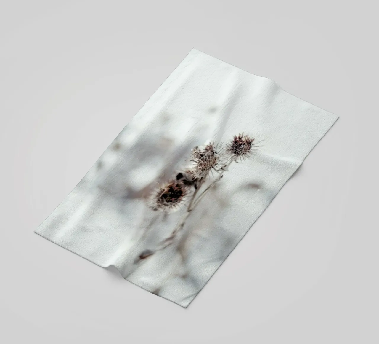 Thistle telo mare da EyeEm Mobile GmbH