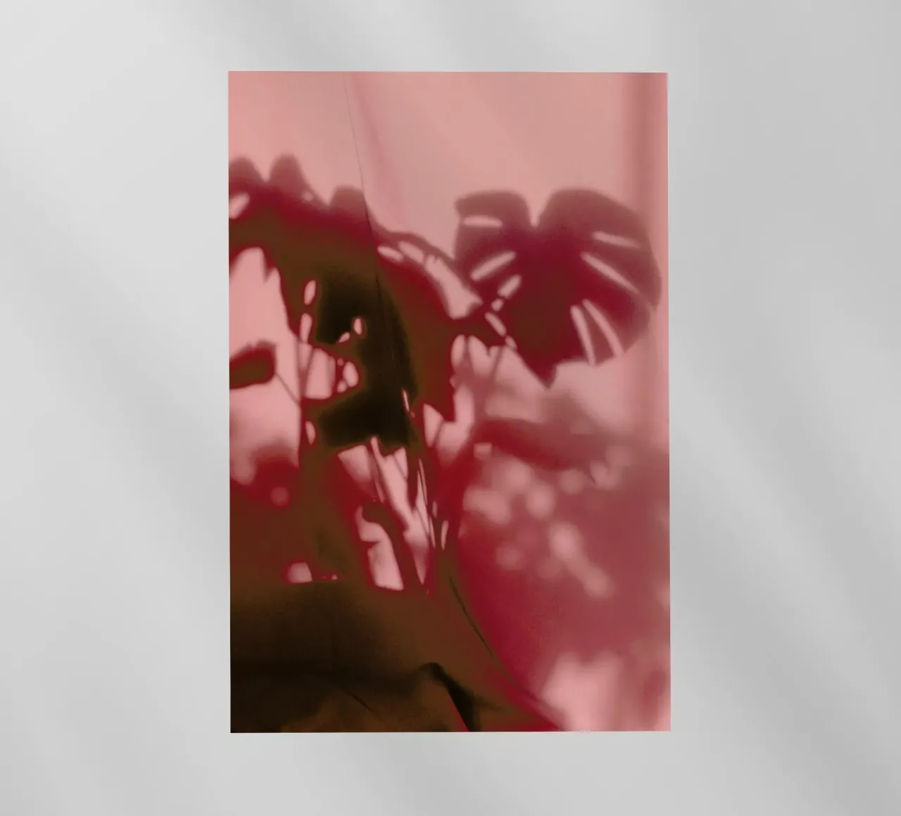 Monstera Shadow @sotirisbougas pellicola backlit da EyeEm Mobile GmbH