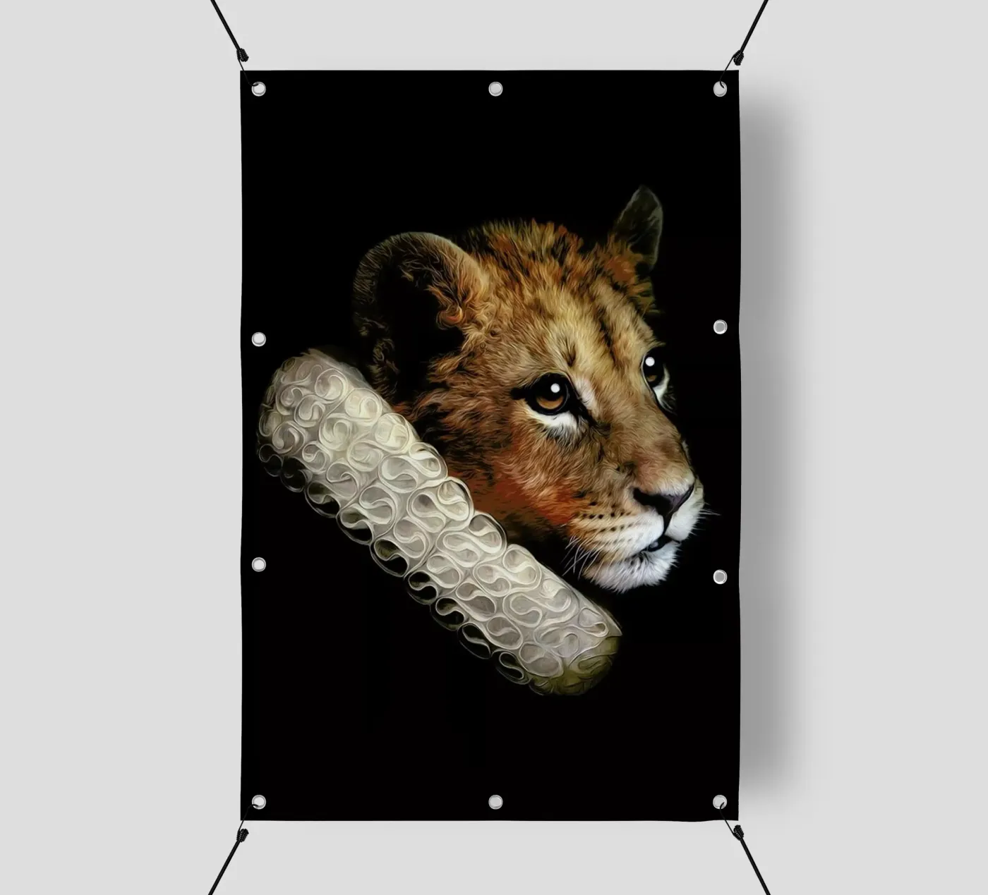 Nova PVC Plane von Tein Lucasson