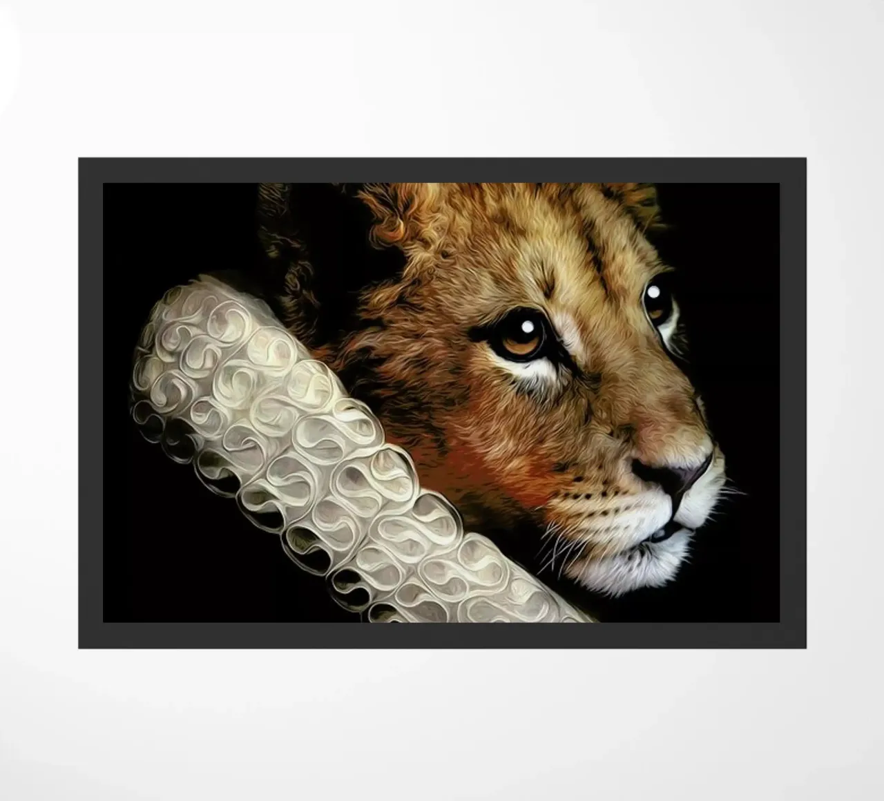 Nova zerbino da Tein Lucasson