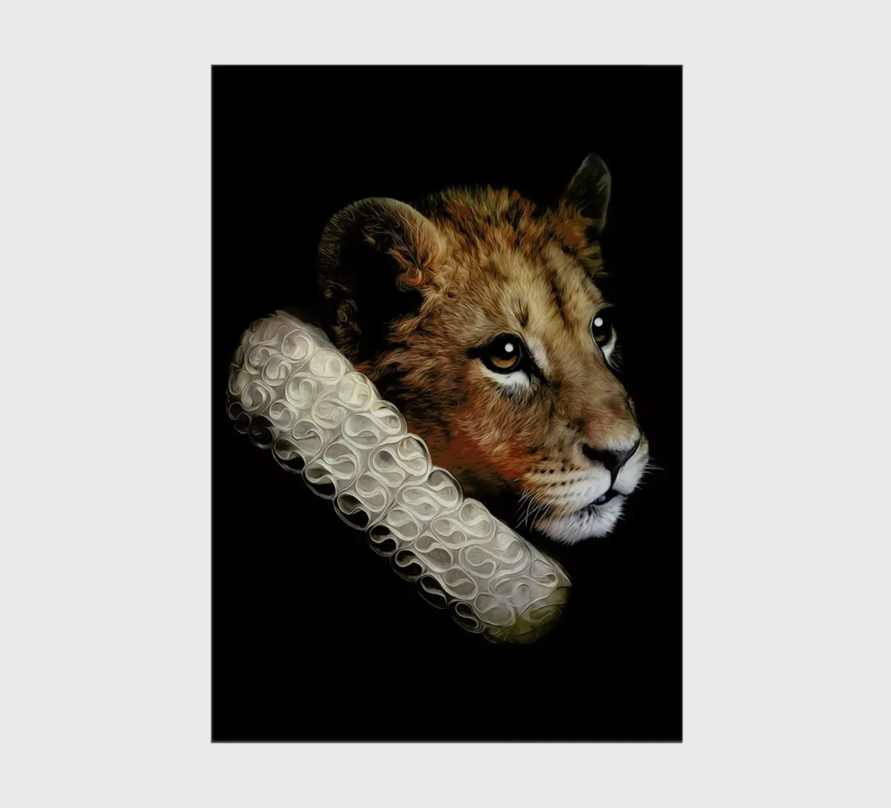 Nova carnet de notes de Tein Lucasson