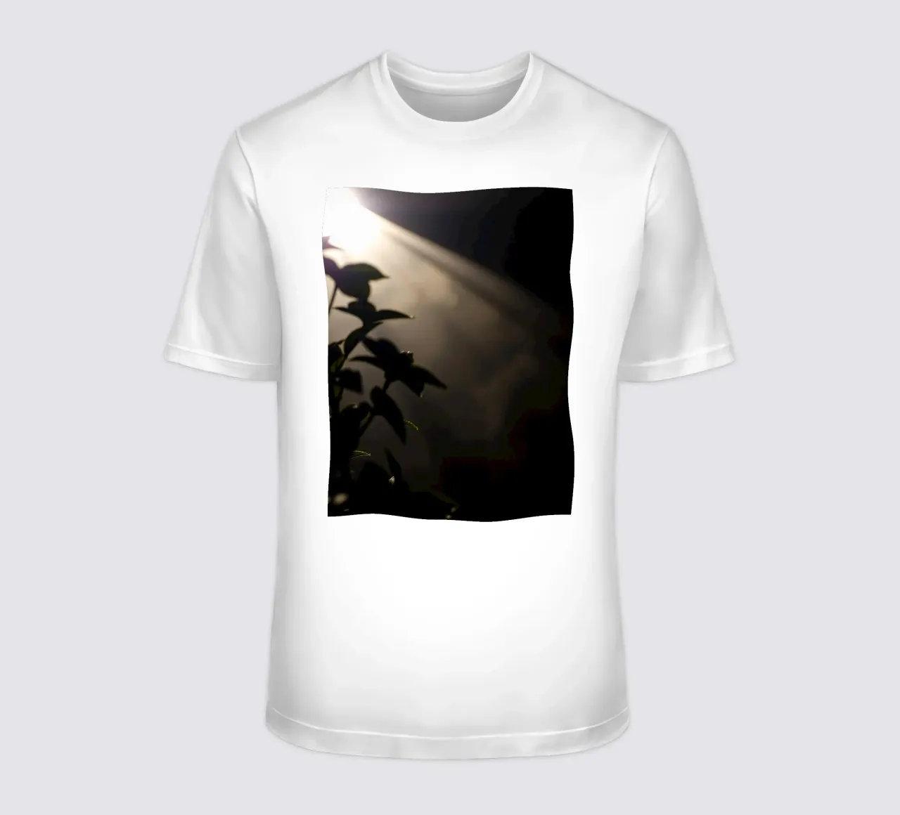 La luce attraversa l'oscurità, illuminando una pianta t-shirt da DesignDoodle