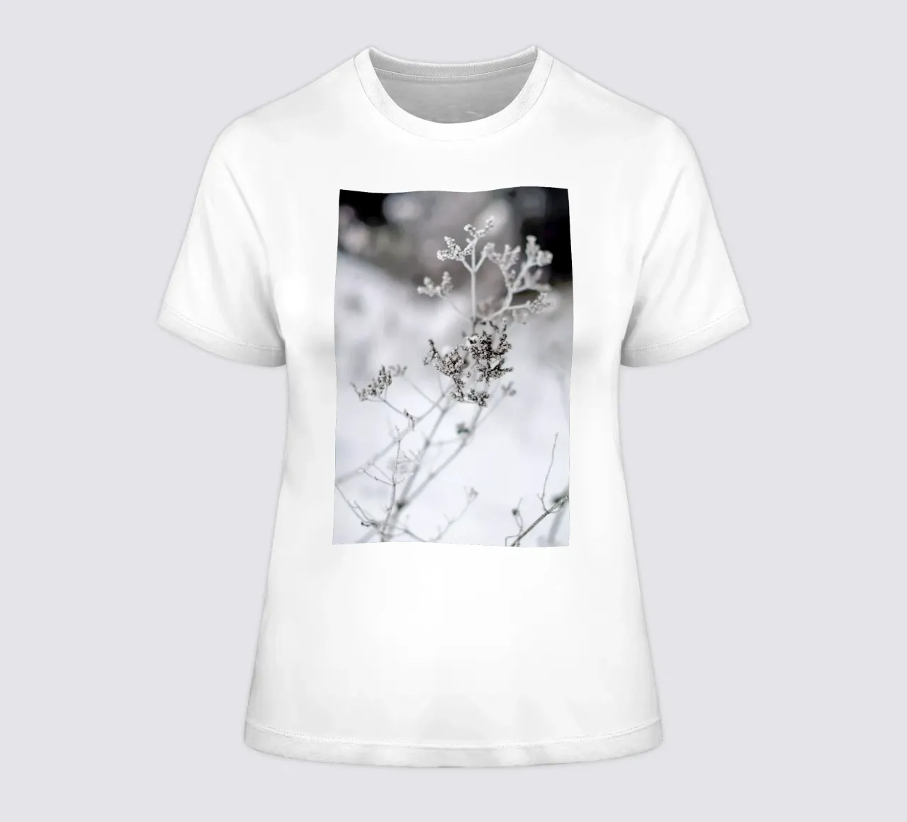 Frozen Thistle II women's fitted t-shirt by EyeEm Mobile GmbH