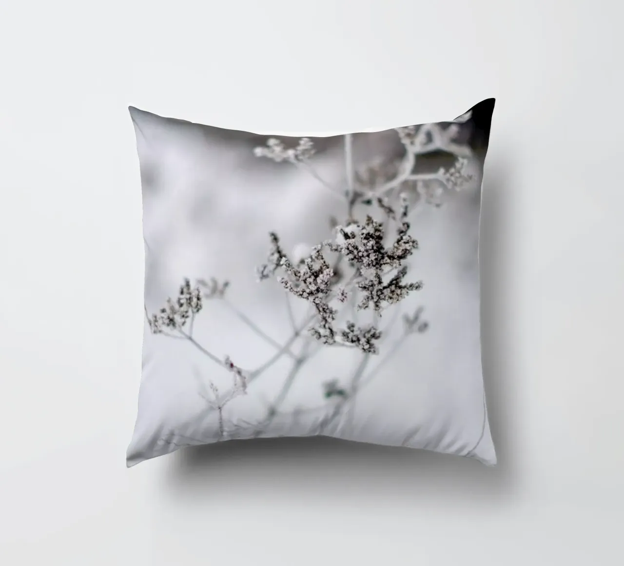 Frozen Thistle II decorative cushion by EyeEm Mobile GmbH