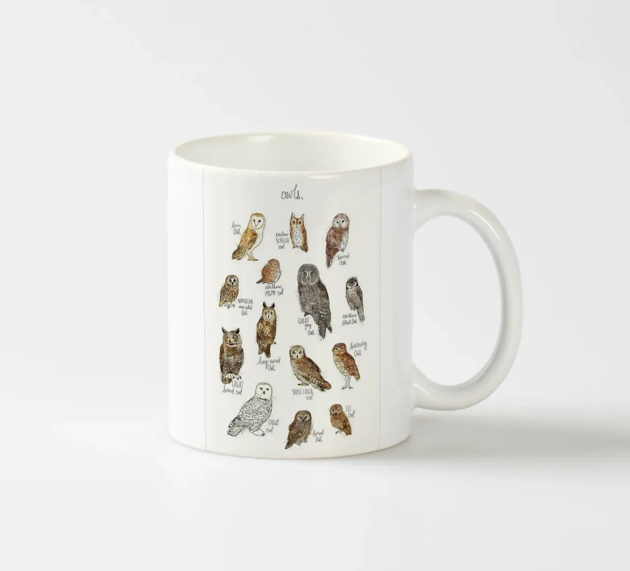 alcuni tipi di gufi amy hamilton tazza in ceramica da kbm store