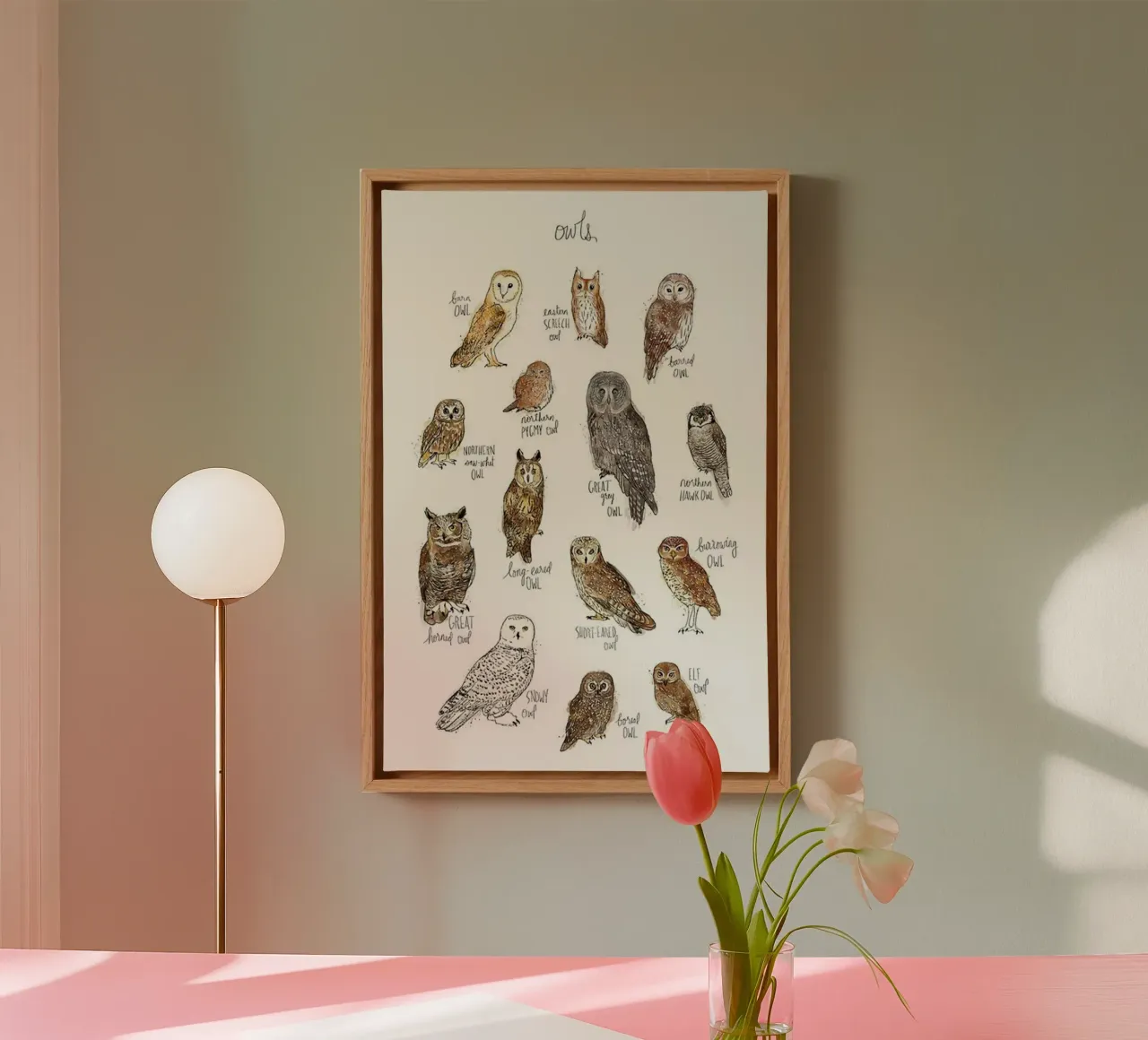 alcuni tipi di gufi amy hamilton tela con Cornice a cassetta da kbm store