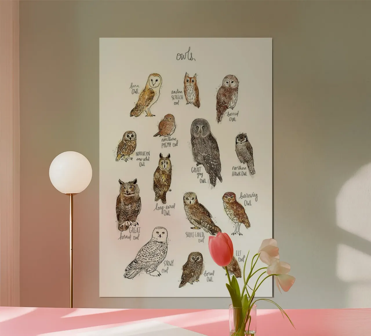 alcuni tipi di gufi amy hamilton carta hahnemühle da kbm store