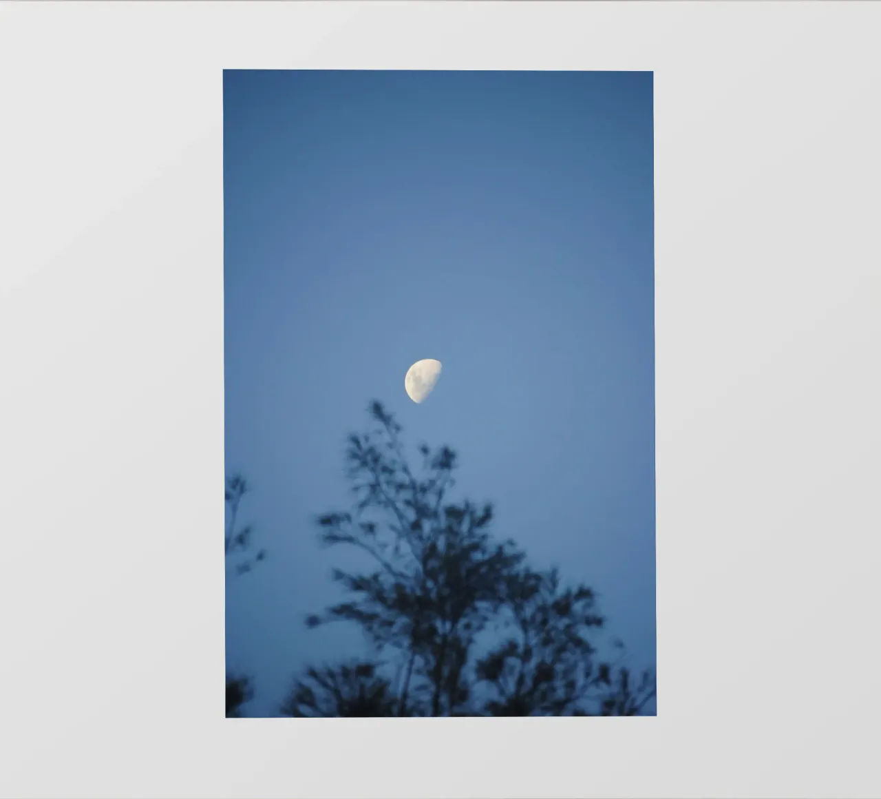 branches sky photo wallpaper by Bleu