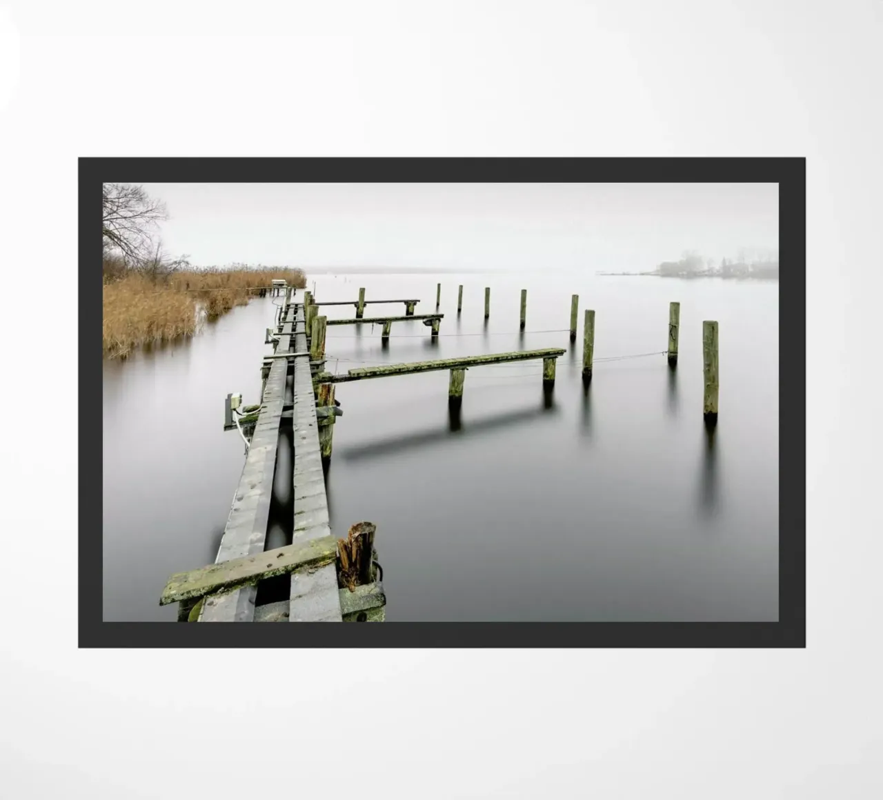 Bathed In Clouds Of Fog | Schwielowsee 2021 zerbino da Håggard Photography | Ronny Behnert
