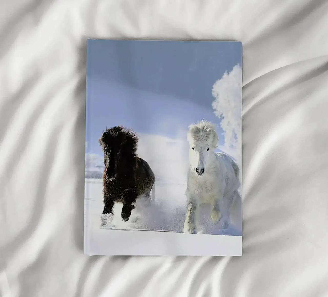 Racing Through the Snow notebook by EyeEm Mobile GmbH