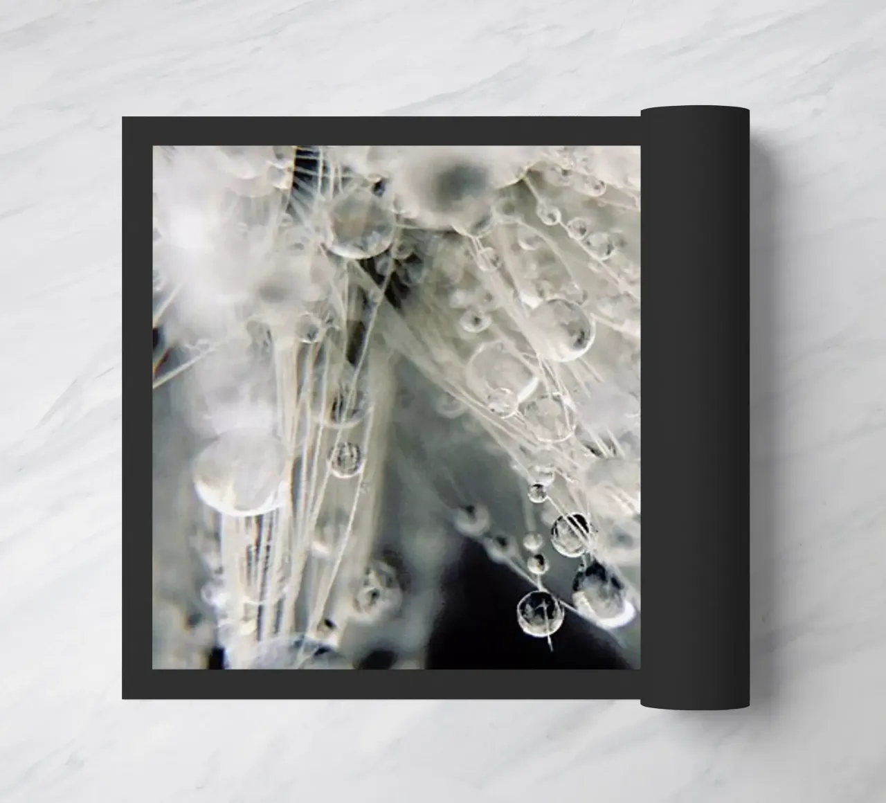 Icicle zerbino da EyeEm Mobile GmbH