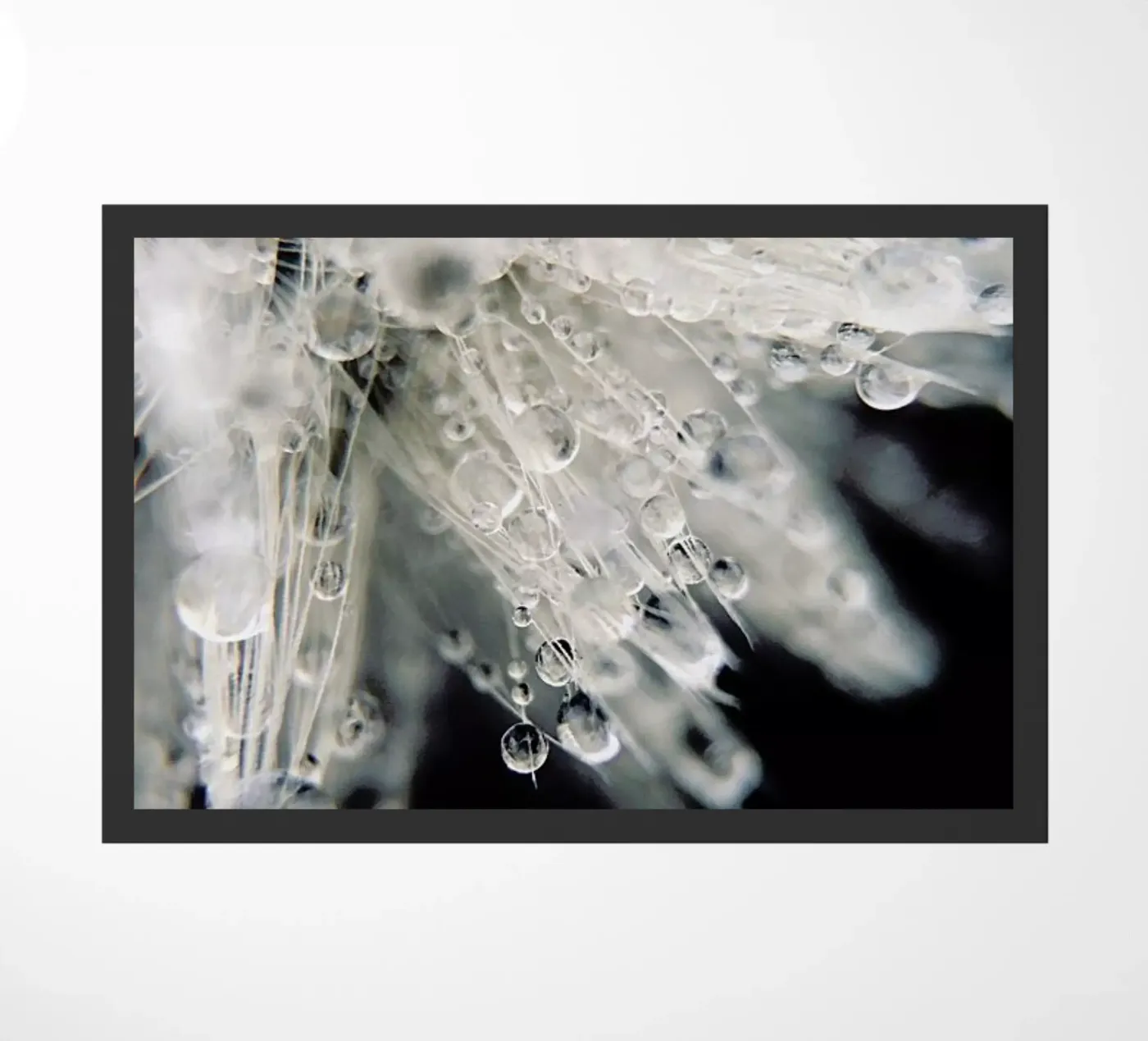 Icicle zerbino da EyeEm Mobile GmbH