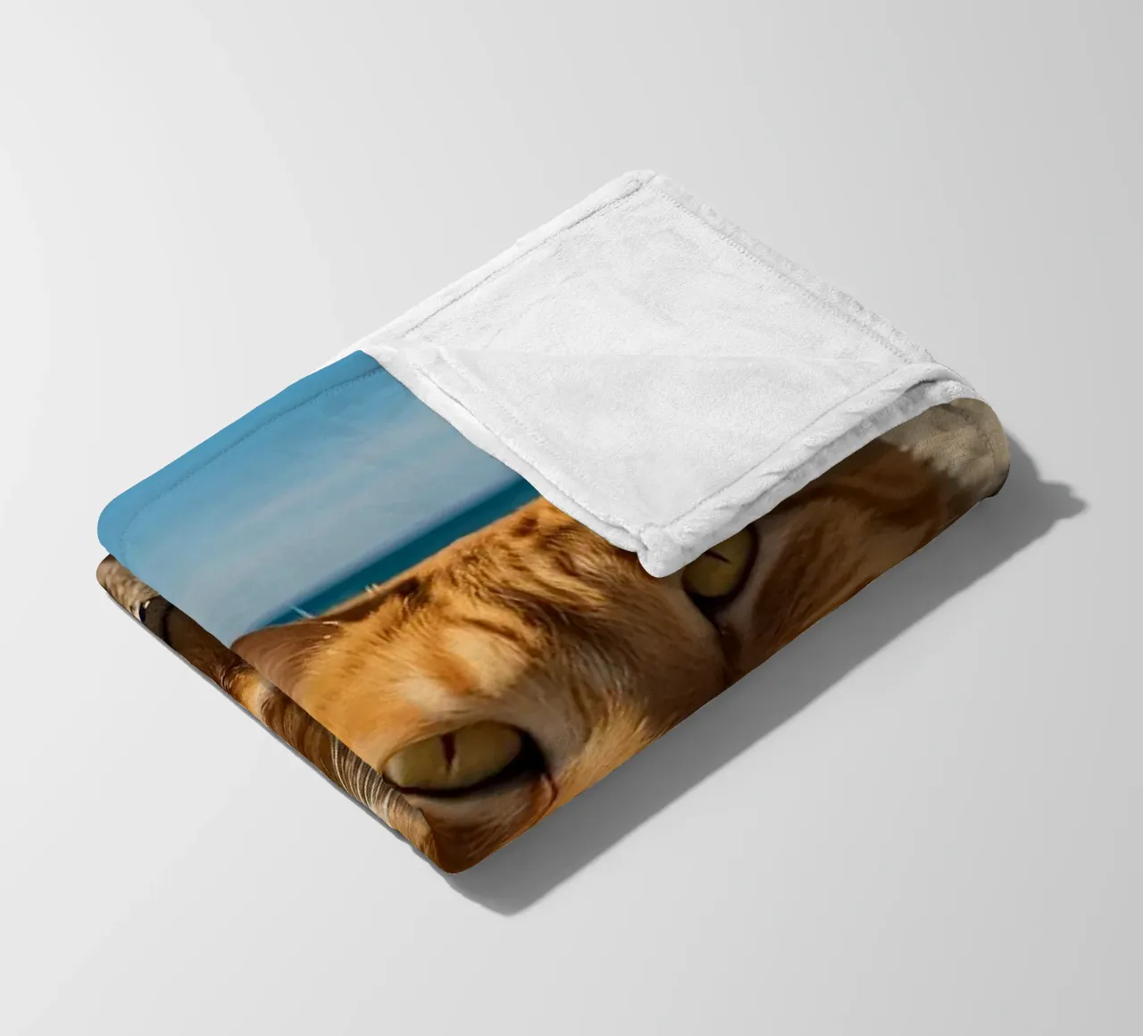 Gatto arancione che si rilassa sulla spiaggia sabbiosa sotto un ombrellone colorato coperta in pile da DesignDoodle