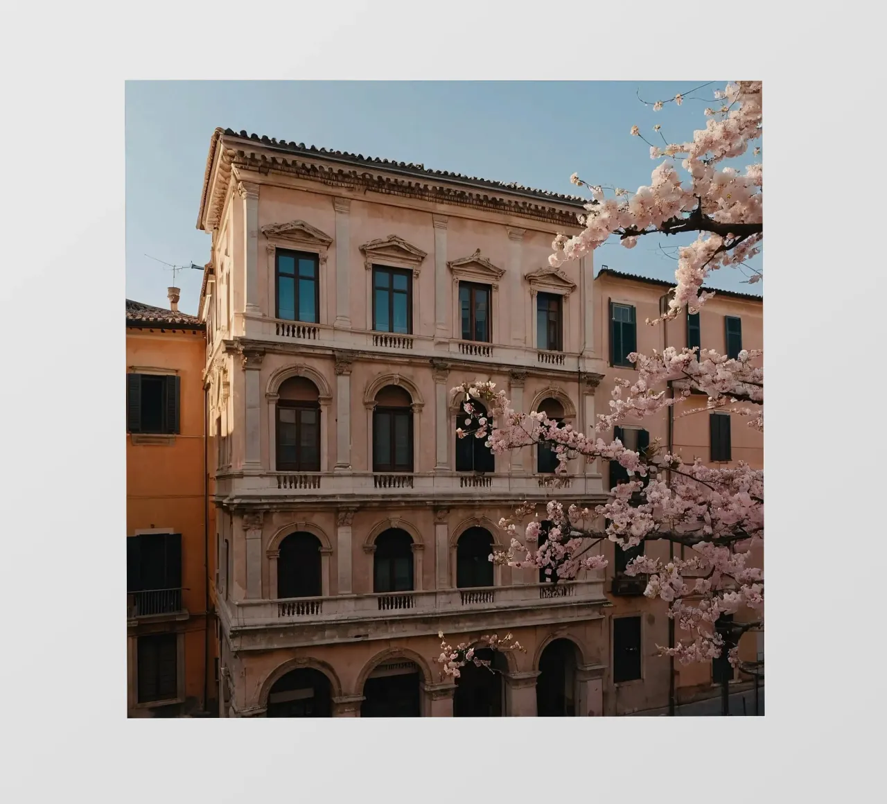 Bellissimo edificio storico con fiori di ciliegio in fiore telo in pvc da DesignDoodle
