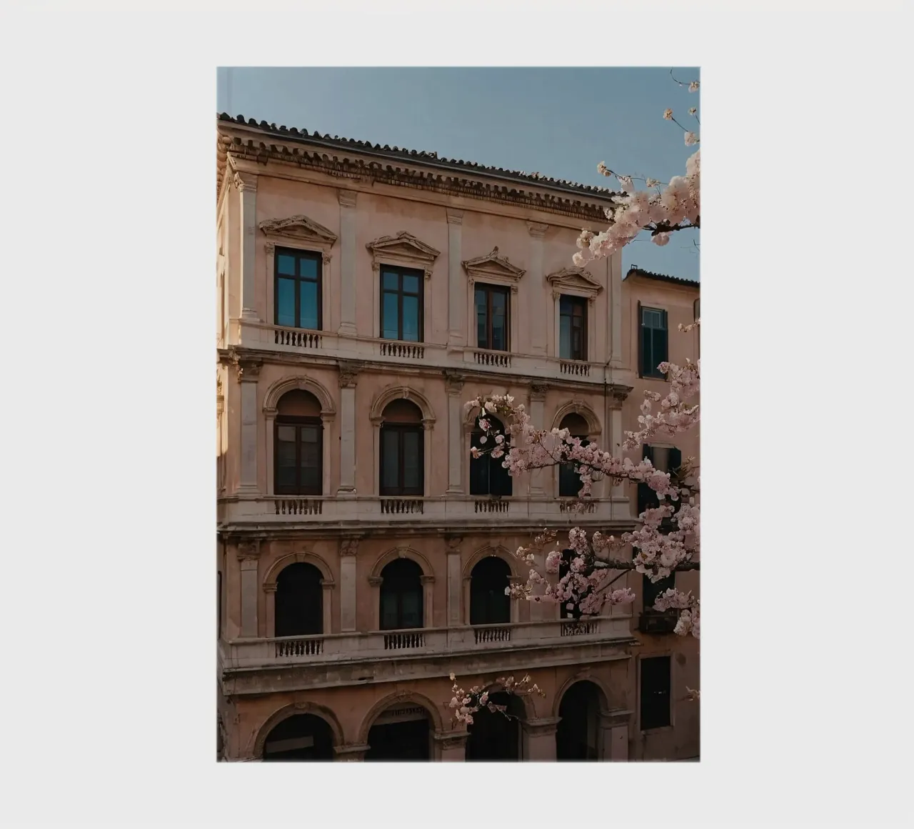 Bellissimo edificio storico con fiori di ciliegio in fiore diario da DesignDoodle