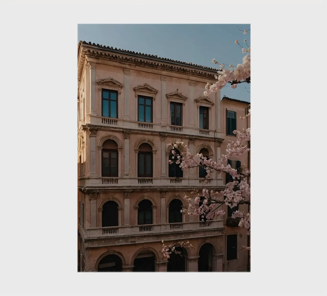 Bellissimo edificio storico con fiori di ciliegio in fiore diario da DesignDoodle