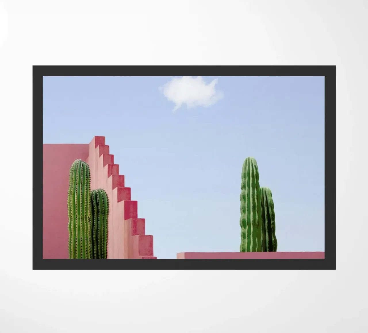 Cactus Meeting zerbino da Rupert Höller