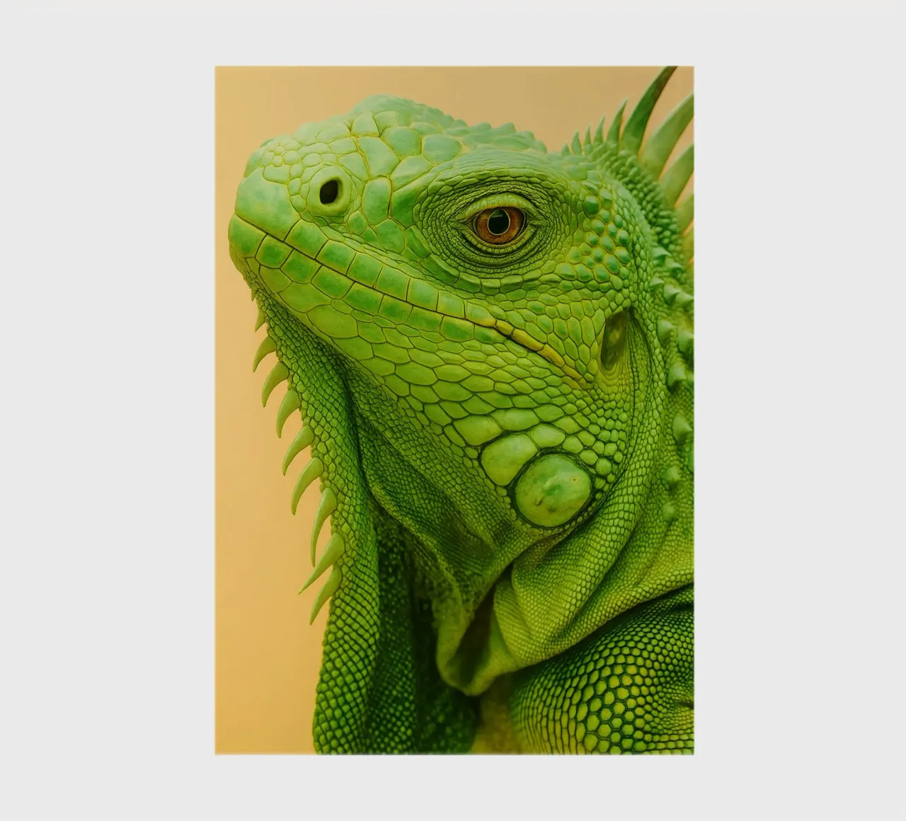 Iguana Face notebook by kukupuu