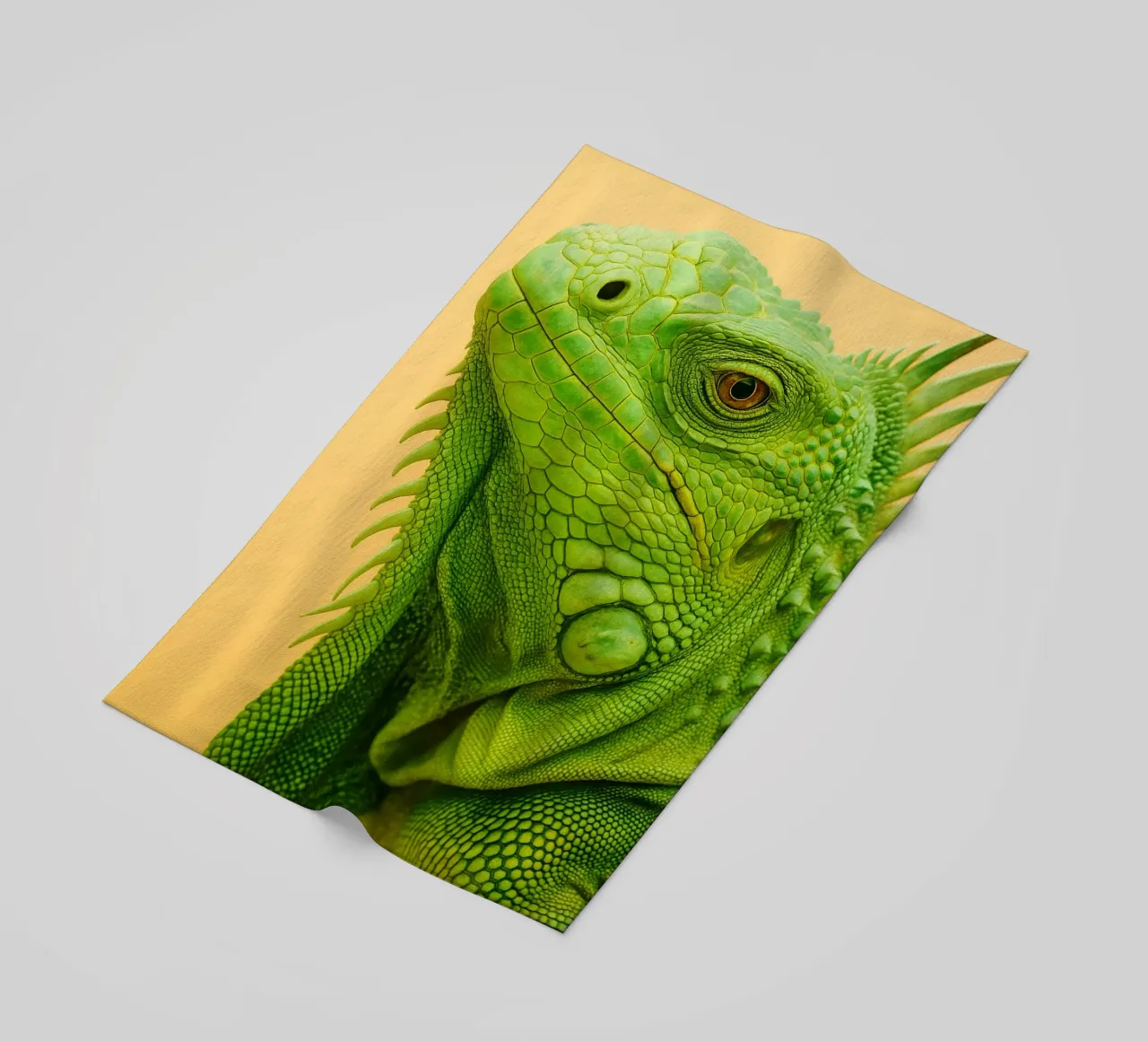 Faccia da iguana telo mare da kukupuu