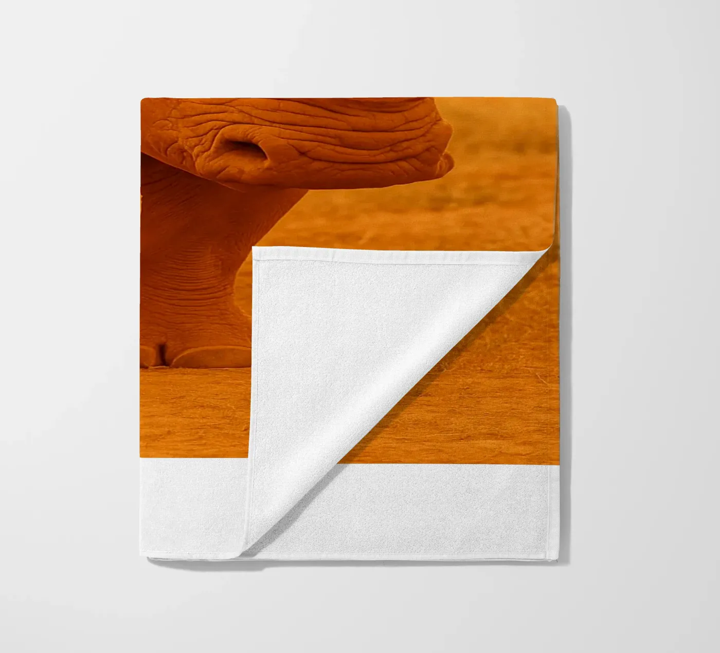 rinoceronte telo mare da kukupuu