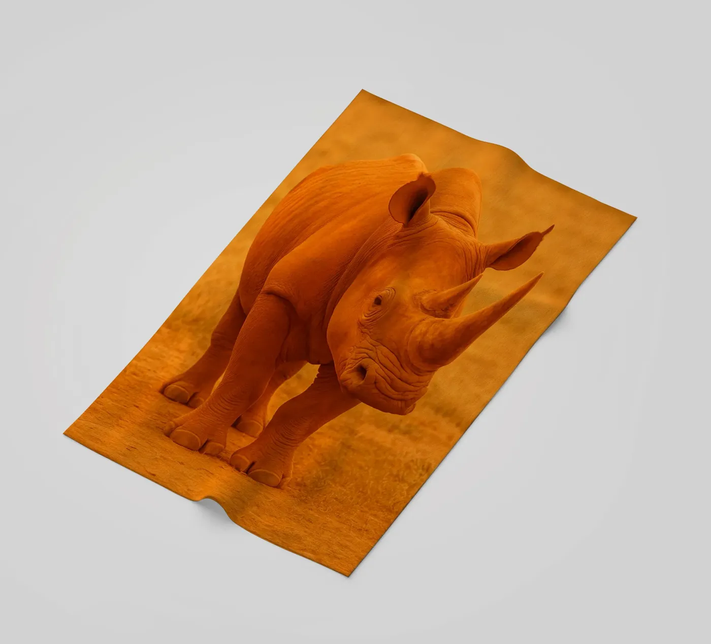 rinoceronte telo mare da kukupuu