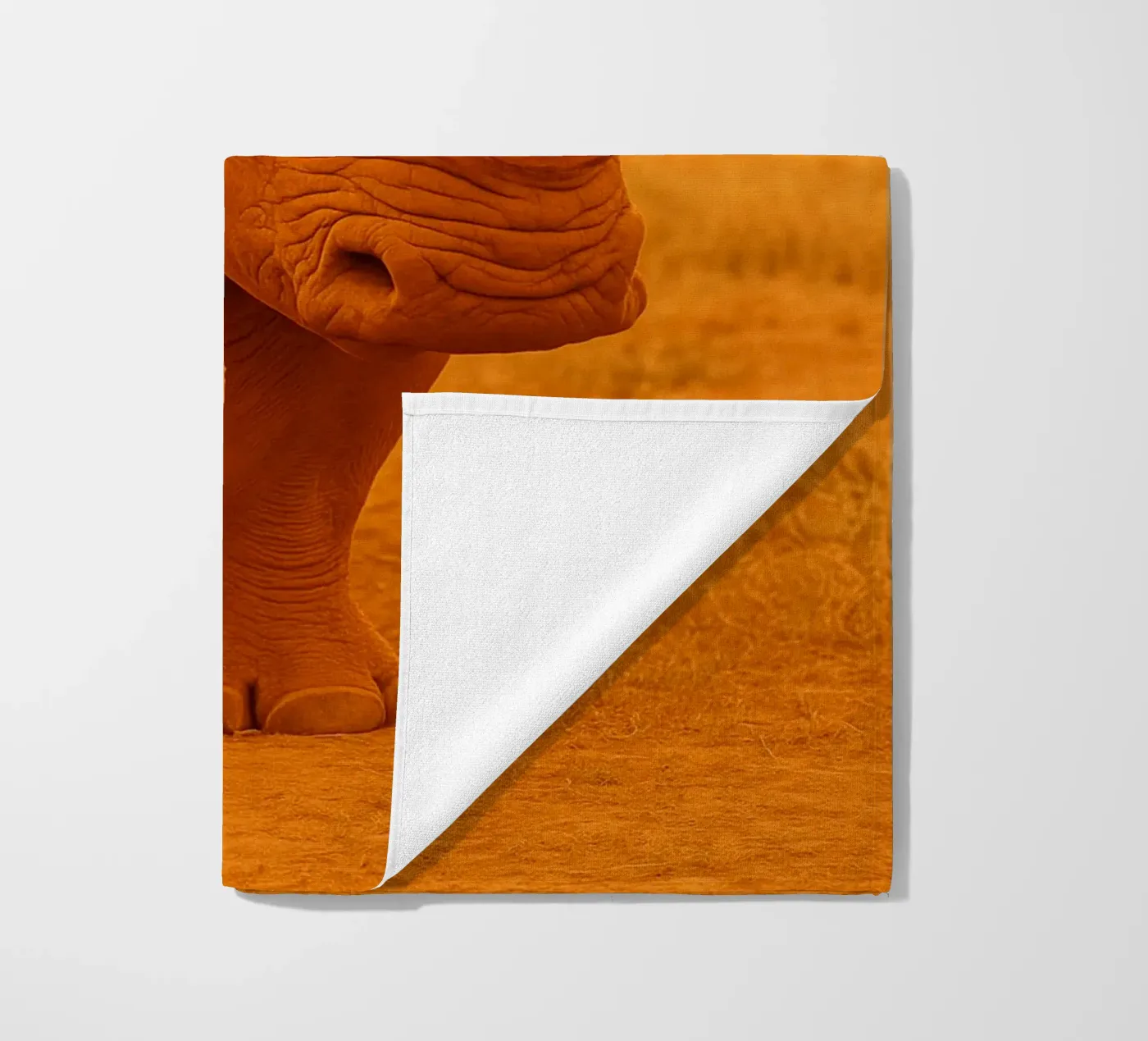 rinoceronte telo mare da kukupuu