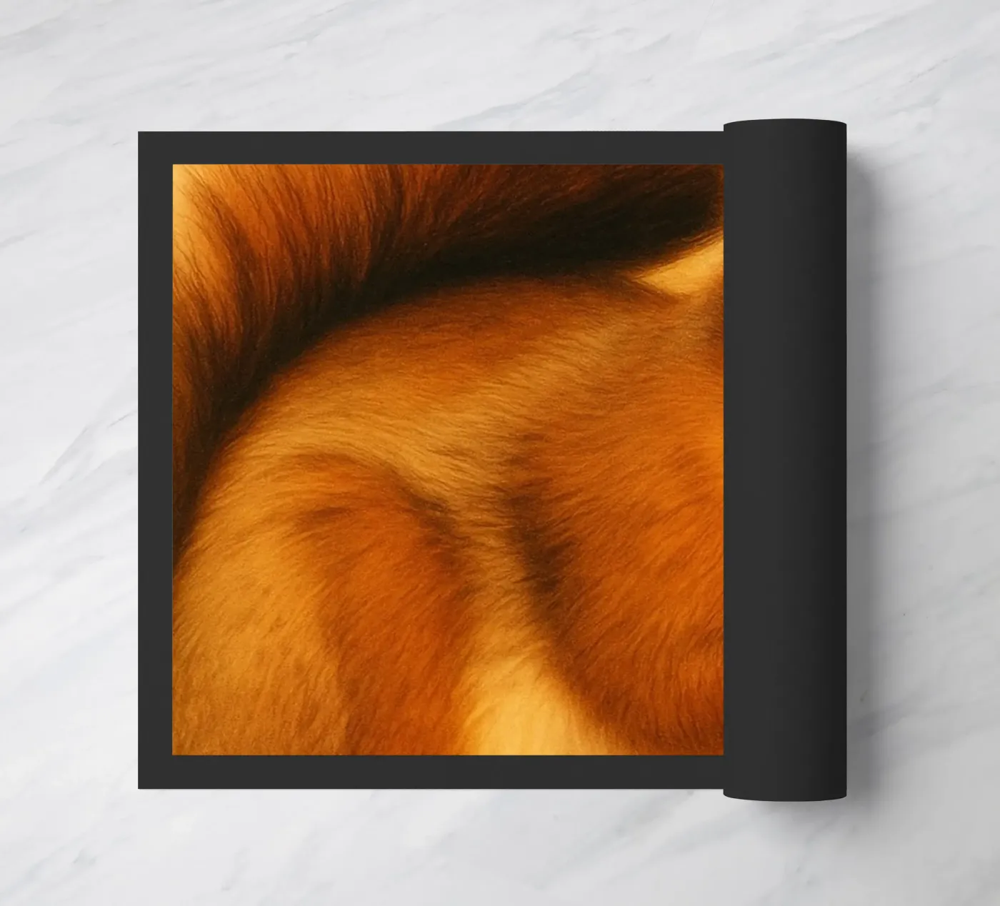 Squirrel Funny Face doormat by kukupuu