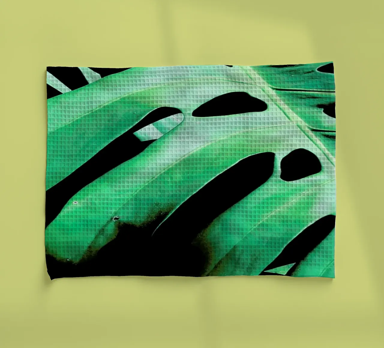 Monstera Deliciosa paño de cocina de Ballack Art House