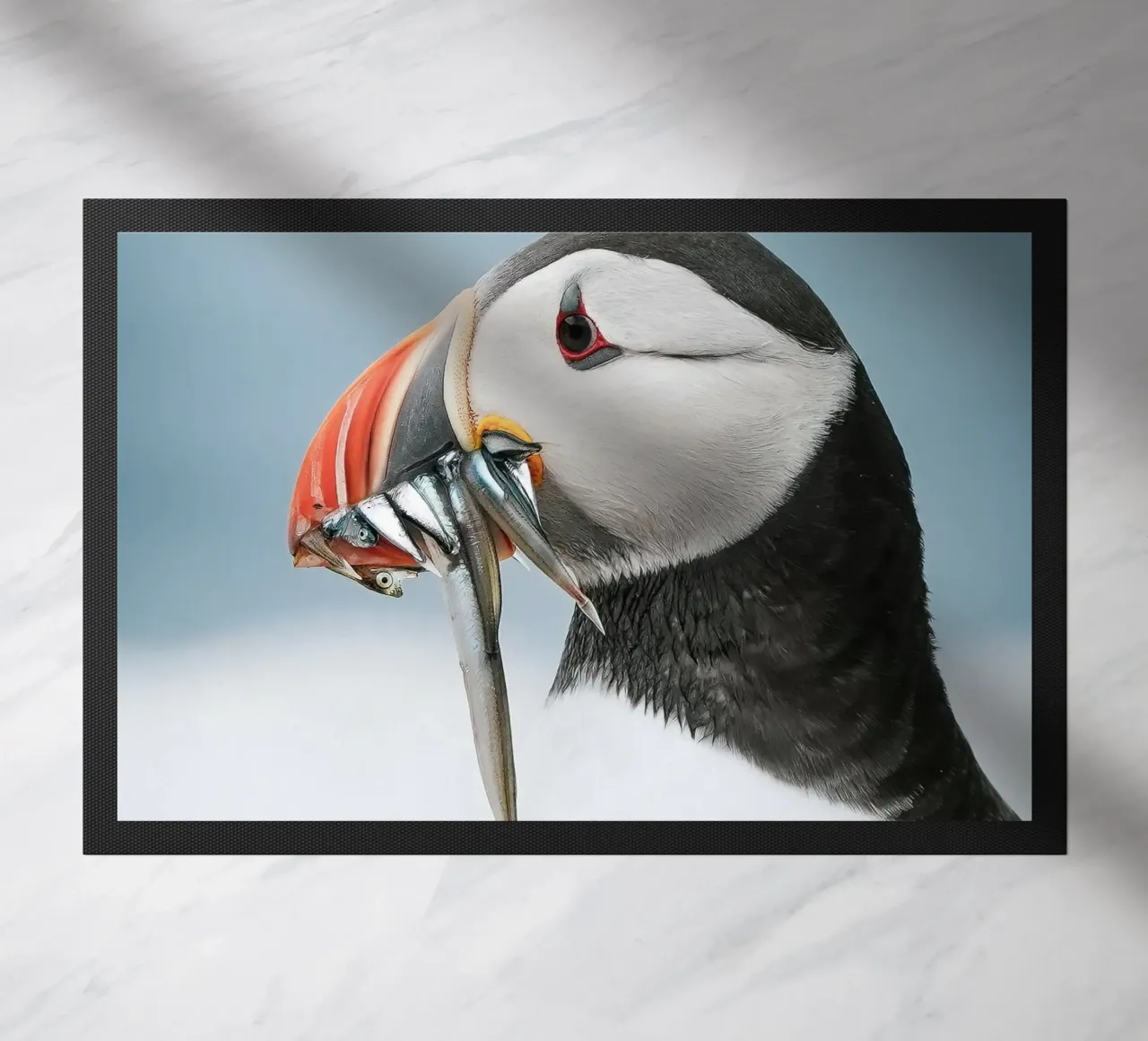 Puffin zerbino da Tom's Wildlife