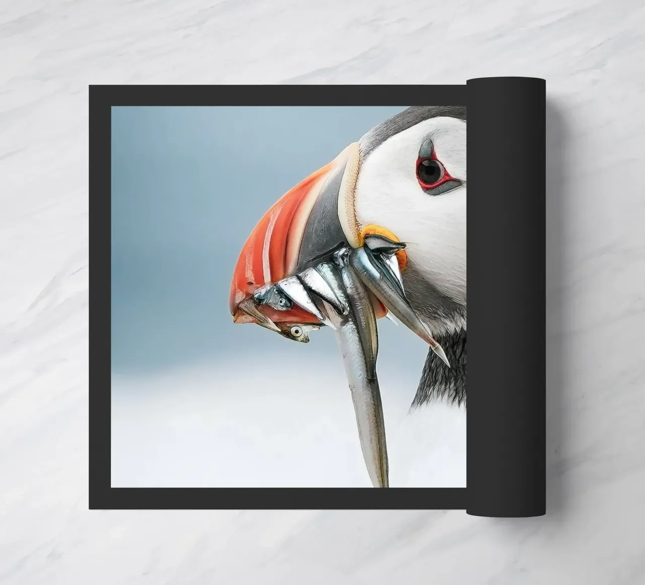 Puffin zerbino da Tom's Wildlife