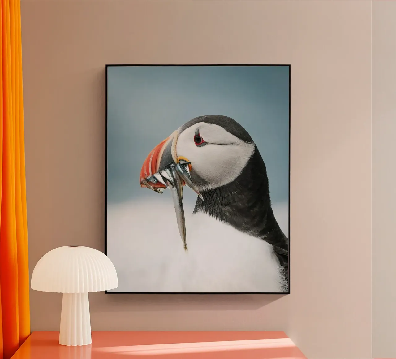 Puffin plexiglass da Tom's Wildlife