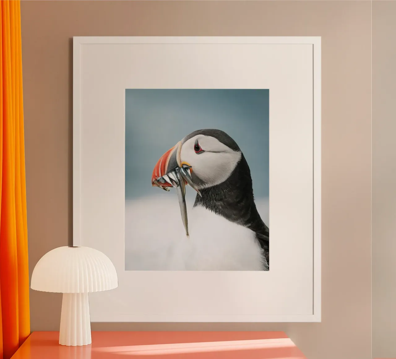 Puffin poster da Tom's Wildlife